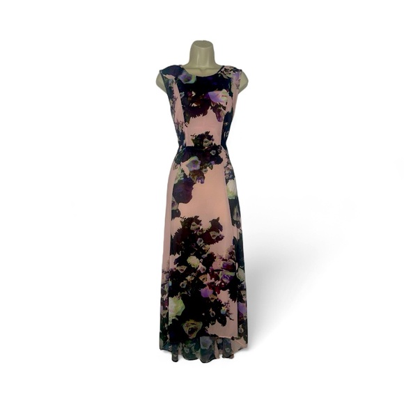 Carmen Marc Valvo Dresses & Skirts - Carmen Marc Valvo Sheer Floral Maxi Dress w/ Lining Size 6 Sleeveless Gown